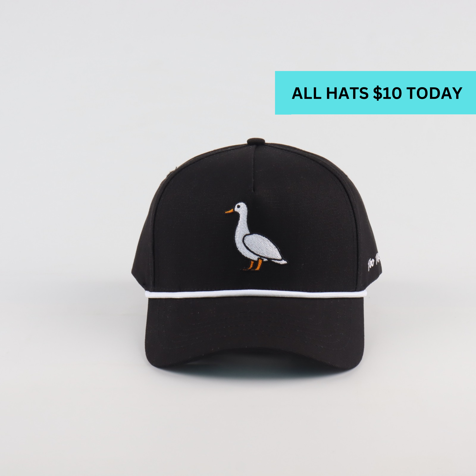 Duck Hat